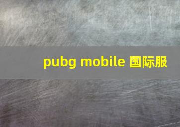 pubg mobile 国际服